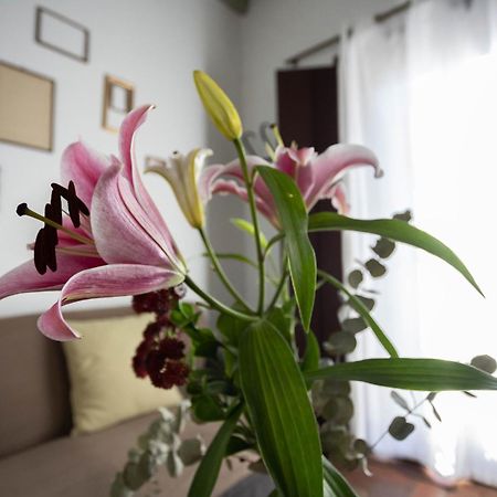 塞维利亚Casa Del Siglo XVII别墅 外观 照片