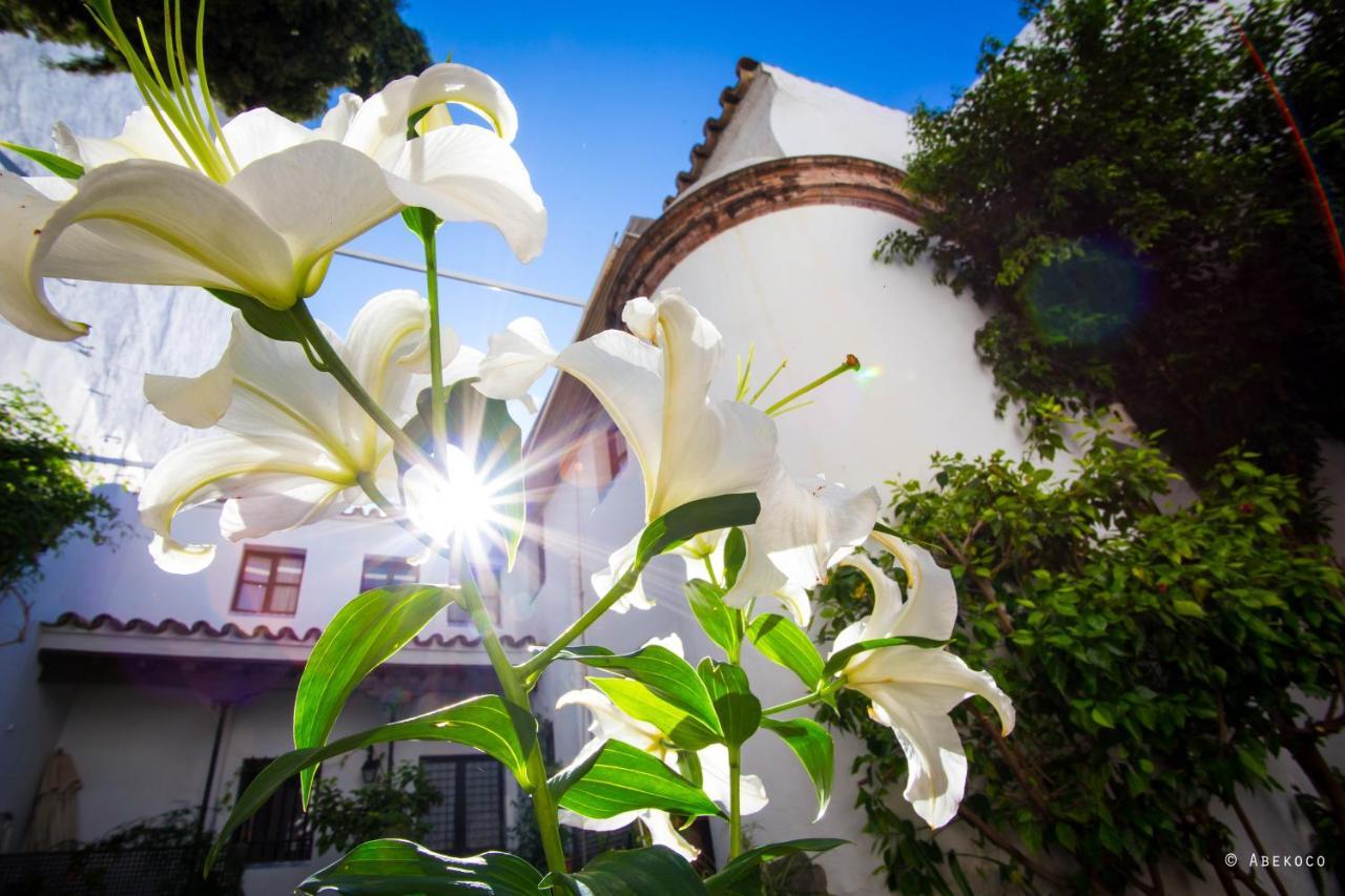 塞维利亚Casa Del Siglo XVII别墅 外观 照片