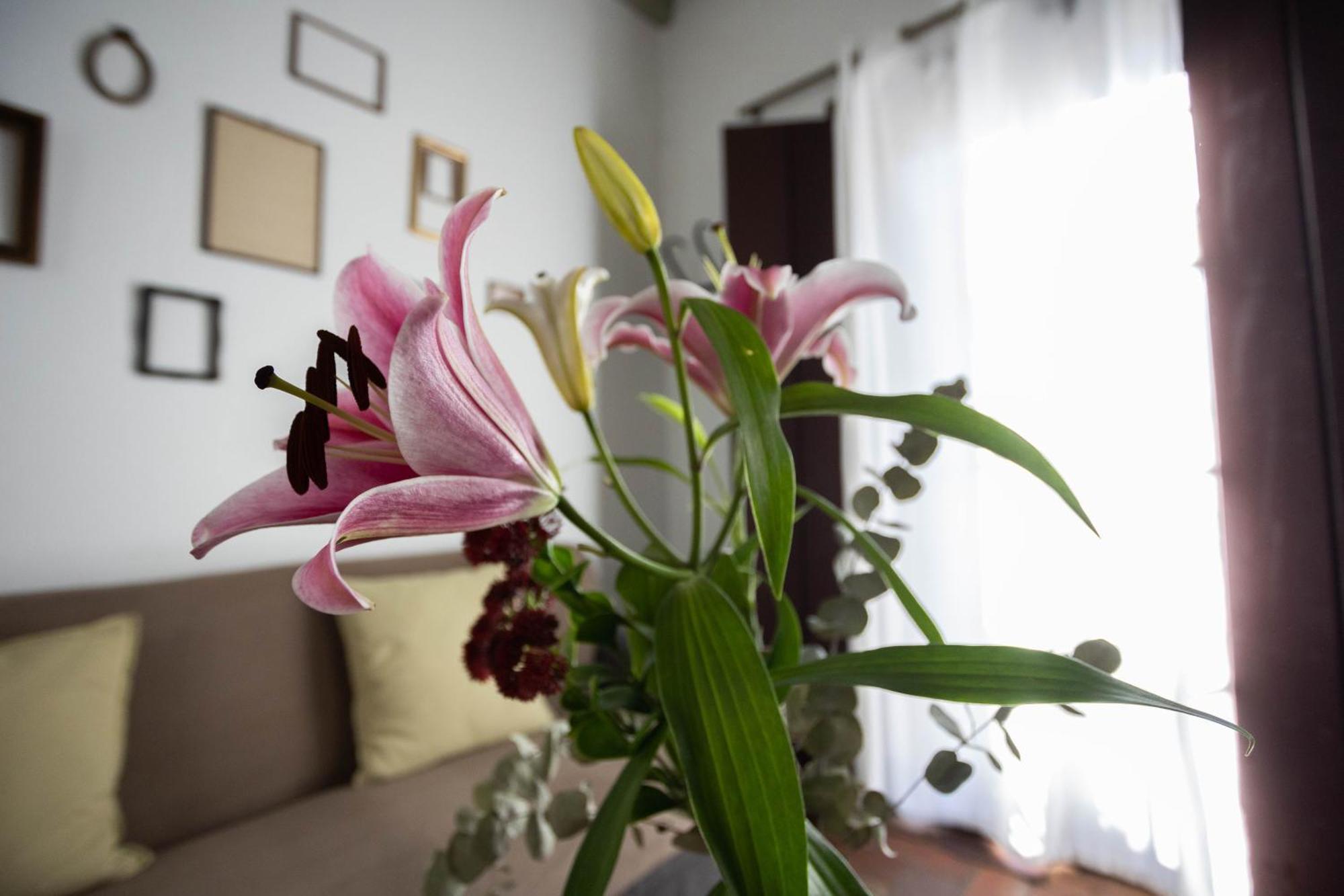 塞维利亚Casa Del Siglo XVII别墅 外观 照片